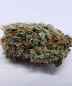 Catholic School Girl