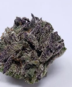 Purple Urkle