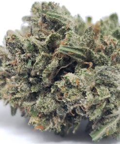 Granddaddy Purple Kush