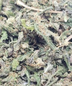 Purple Haze Trim AAAA+