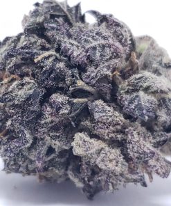 Purple Dream