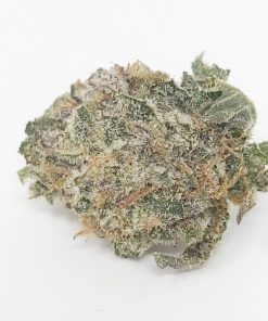 Purple Haze Smalls AAAA