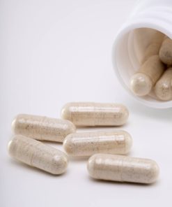 Canadian Edibles' Micro Dose Psilocybin A+ Mushroom 250mg