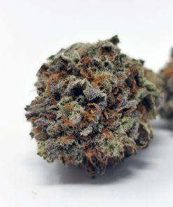 Island Sweet Skunk AAAA+