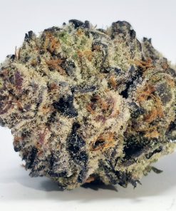 Strawberry Mimosa AAAA+