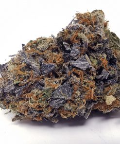 Long Island Pink AAAA+