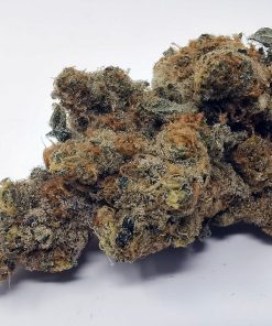 Kootenayz Exoticz - L.S.O. Slurricane AAAA+