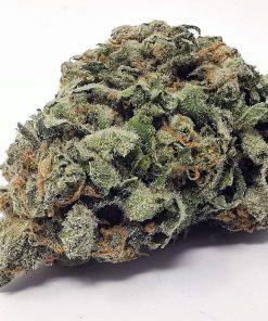 Kootenayz Exoticz - Grape God AAAA+