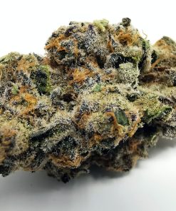 Ice Cream Jelly AAAA+