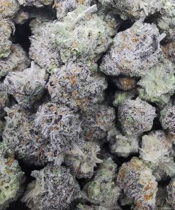 GV's Mandarin Zkittles Smalls AAAA+