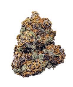 Kootenayz Exoticz - Woolly Mammoth AAAA+