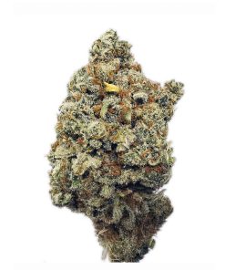 Kootenayz Exoticz - White Fire OG AAAA+