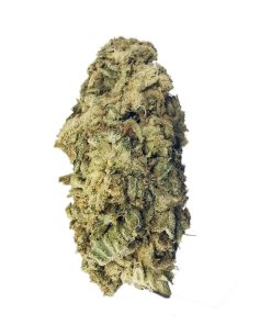 Kootenayz Exoticz - Waiting Game AAAA+