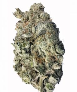 Kootenayz Exoticz - Blueberry Grapevine AAAA+