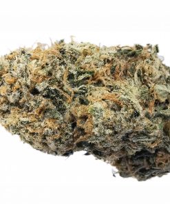 Kootenayz Exoticz - Zurple Punch AAAA+