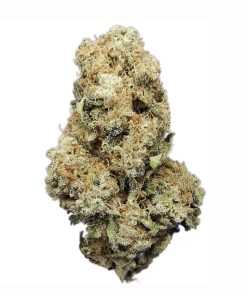 Kootenayz Exoticz - Double Black AAAA