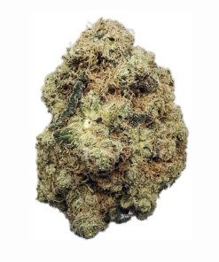 Kootenayz Exoticz - 9LB Lemon Hammer AAAA+