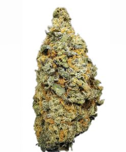 Kootenayz Exoticz - Sour Royal Diesel AAAA