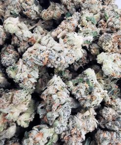 Orange Cookies Smalls AAAA