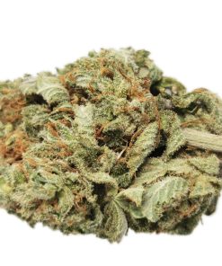 Pineapple Express AAA+