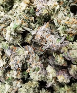 Trainwreck Smalls AAA+