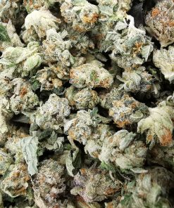 King Tut Smalls AAA+