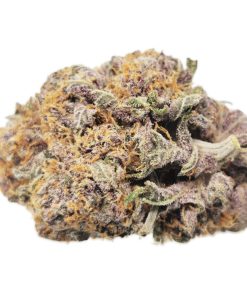 Kootenayz Exoticz - Mendo Montage AAAA+