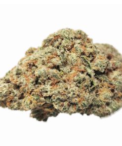 Kootenayz Exoticz - Big Smooth AAAA+