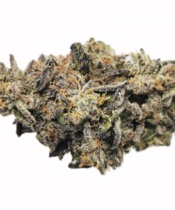 Kootenayz Exoticz - Big Cat Kush AAAA+