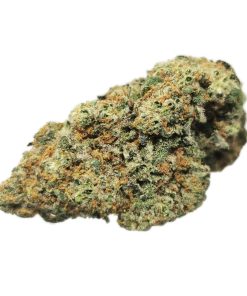 Kootenayz Exoticz - Maui Wowie AAAA