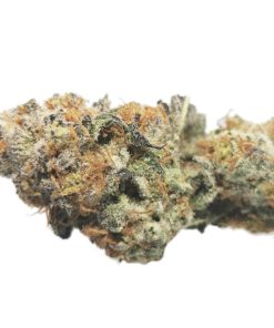 Kootenayz Exoticz - AAAA+ L.S.O. Punch Breath