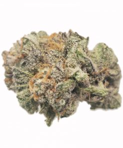 Kootenayz Exoticz - AAAA+ Mad Cap