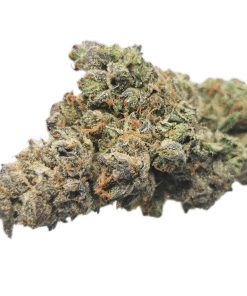 Kootenayz Exoticz - AAAA Green Godness