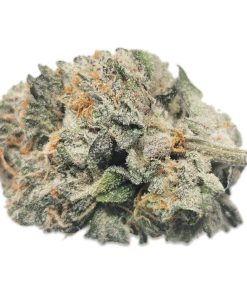 Kootenayz Exoticz - AAAA+ Cookies n Cream