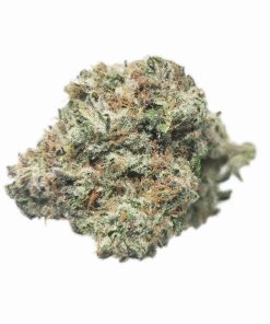 Kootenayz Exoticz - AAAA+ Hawaiian Hammer