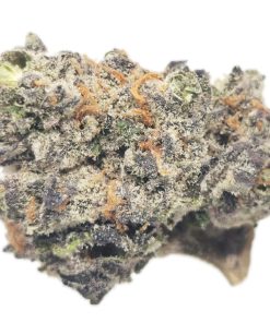 Kootenayz Exoticz - AAAA+ Wedding Crasher