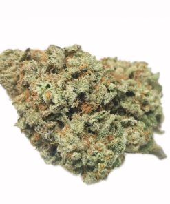 Kootenayz Exoticz - AAAA+ Miracle Alien Cookies