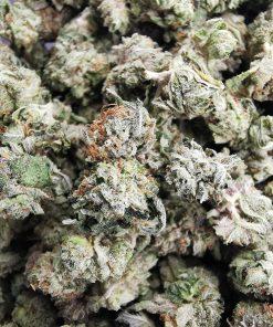 AAAA Purple Kush Smalls