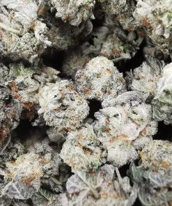 Kootenayz Exoticz - AAAA+ Cookie n Cream Smalls