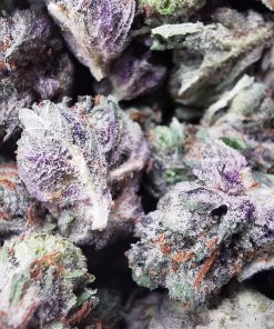 AAAA Tom Ford Pink Smalls