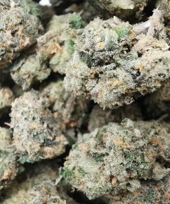 Kootenayz Exoticz - AAAA Sunset M.A.C. Smalls