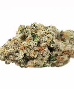 AAAA+ Mint Chocolate Gelato