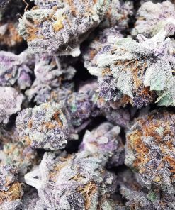 Kootenayz Exoticz - AAAA Grape Pupil Smalls