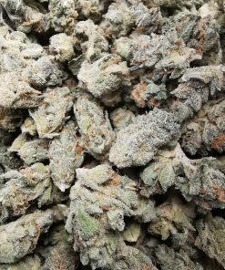 AAA+ Golden State Banana Smalls