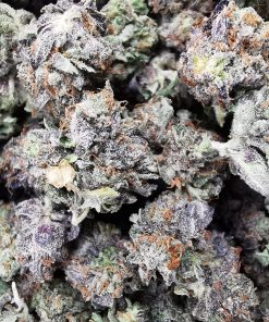 AAA+ Tom Ford Pink Smalls