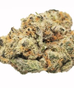 Kootenayz Exoticz - Meat Breath AAAA+