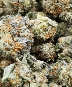 AAA+ Grease Monkey Smalls