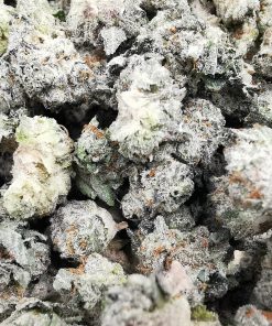 Green Valley's AAAA Black Cherry Punch Smalls