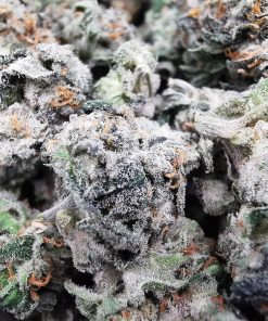 AAAA Purple Candy Smalls