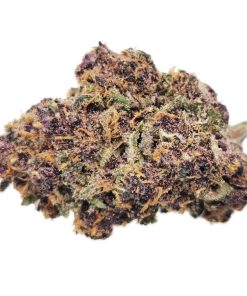 Kootenayz Exoticz - AAAA L.S.O. Triceratrops